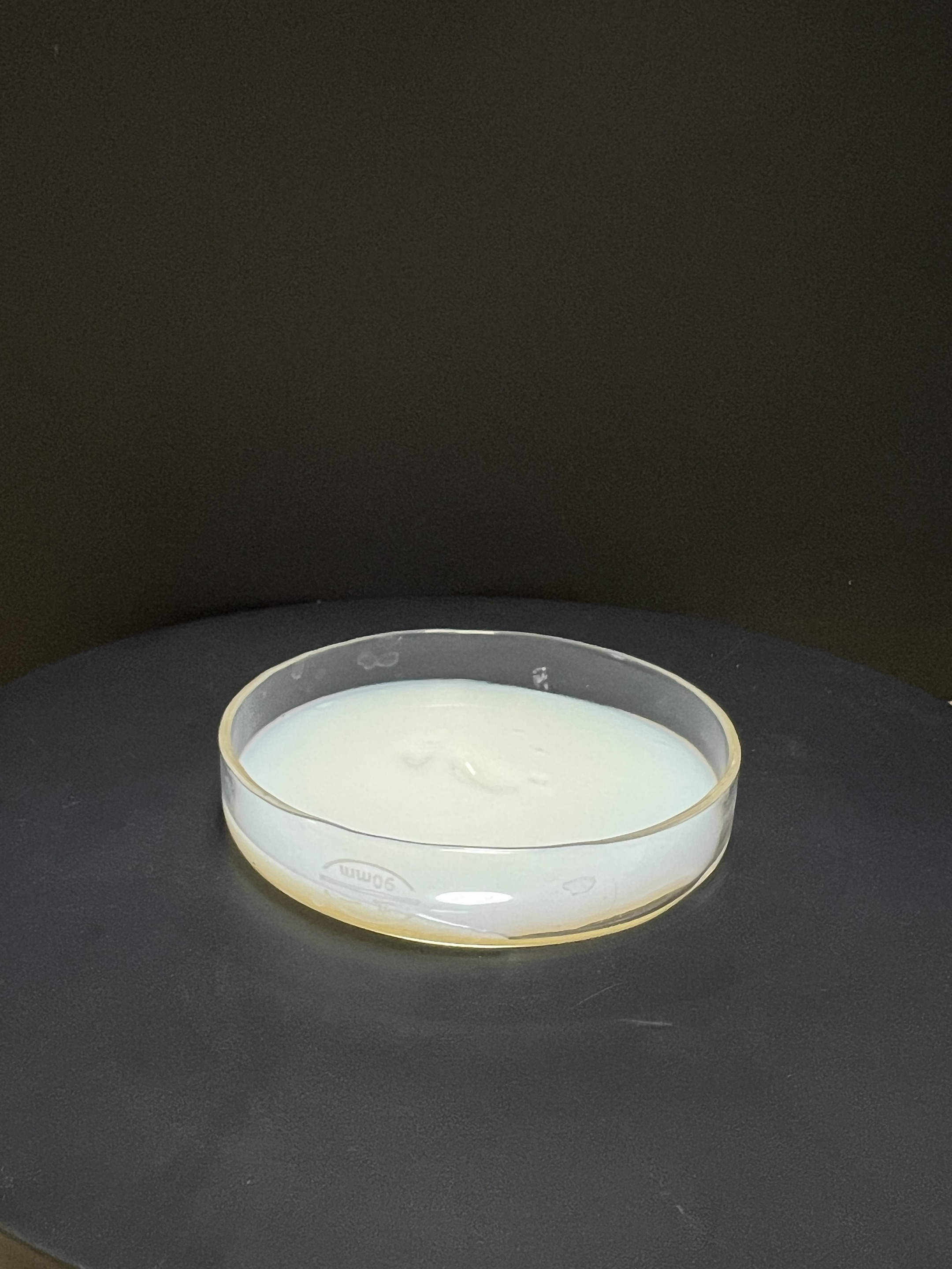 氣凝膠涂料專用乳液2583  硅丙乳液2583